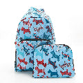 Eco Chic Foldable Packpack FA35352