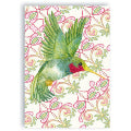 Smart Cloth Hummingbird
