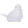 Carla Bird White Med
