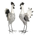 Chooks Black & White 38cm