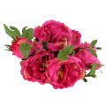 Peony Bouquet Fuchsia