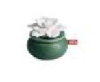 Candle Warmers Oil Diffuser Bloom + Eucalyptus Oil