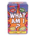 Fun Puzzle in Tin