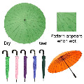 Parasol Roses Show Umbrella