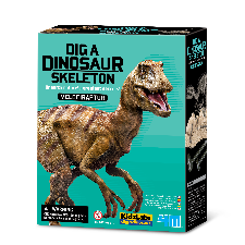 KidzLabs Dig a Pterandon Skeleton Kit