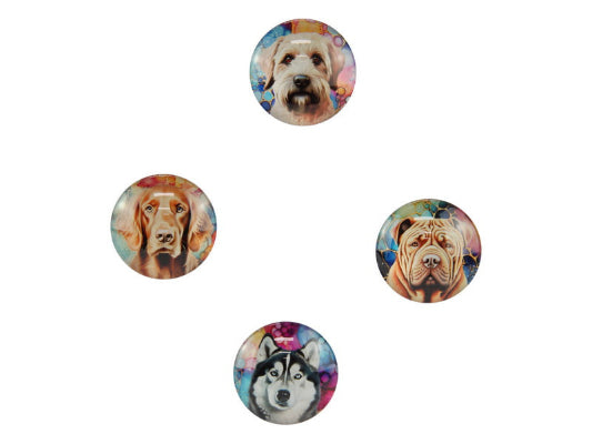 Dog Magnet