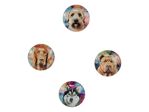 Dog Magnet