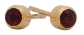 Glam January Birthstone Gold Earrings