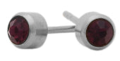Glam February Birthstone Stainless Earrings