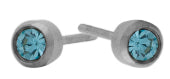 Glam March Birthstone Stainless Earrings