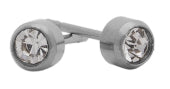 Glam April Birthstone Stainless Earrings
