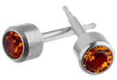 Glam November Birthstone Stainless Earrings