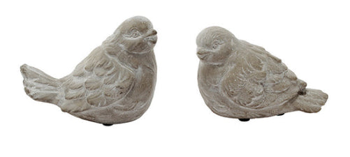 Sparrow Birds