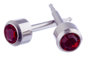 Glam January Birthstone Stainless Earrings