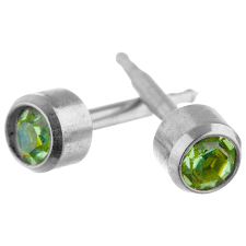 Glamunzia August Birthstone Stainless Earrings