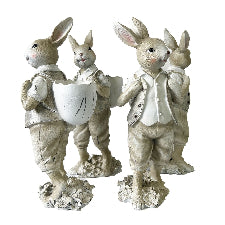 Male Standing Rabbit