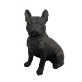 French Bull Dog Matt Black