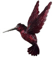Hummingbird - Red (Wall )