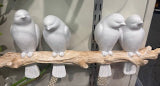 Carla Birds 2 Pairs