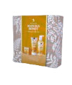 Wild Fern Manuka Honey Gift Box 3pc Set