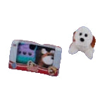 Pet with Carrier