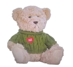 Parrs On Portage Teddy Bear Green Jumper 20cm