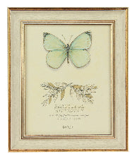 Photo Frame Ivory Hailey 8x10