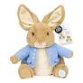 Peter Rabbit Peek A Ears