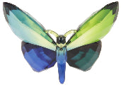 Hanging Butterfly Multi
