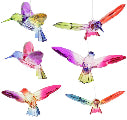 Hanging Hummingbird