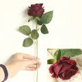 Artifical Flower Rose Port