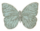 Butterfly Wall Decorative Blue