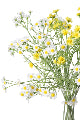 Artificial Mini Daisy Yellow 68cm