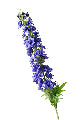 Artificial Delphinium Spray Dark Blue