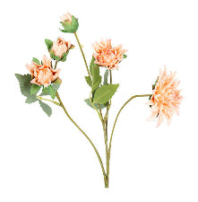 Mum Spray Peach Blush 49.5cm