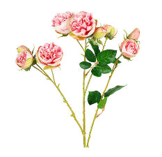 Bourbon Rose Spray Soft Pink 68.5cm