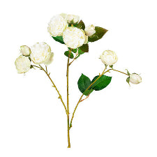 Bourbon Rose Spray Soft White 68.5cm