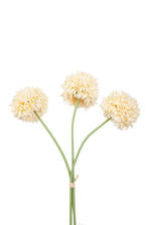 Mum Ball Bundle Cream 43cm