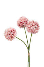 Mum Ball Bundle Dusky Pink 43cm