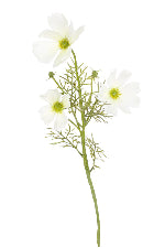 Cosmos Spray White 3 Head
