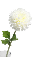 Zinnia Spray White 46cm