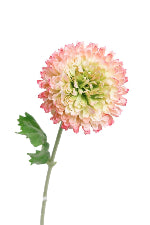 Zinnia Spray Cream/Pink 46cm
