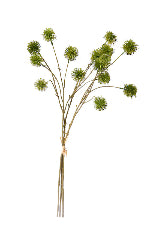 Sweet Chestnut Pod Bundle x3 Green