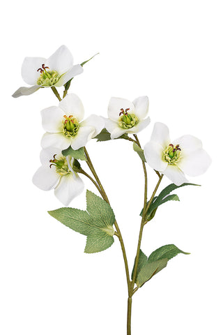 Hellebore Spray 47cm Cream