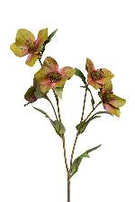 Hellebore Spray 47cm Green