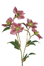 Hellebore Spray 47cm Mauve