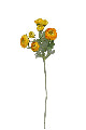 Artificial Ranunculus Spray Light Yellow 48cm