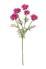 Cosmos Spray Fuchsia 62cm