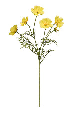 Cosmos Spray Yellow 62cm