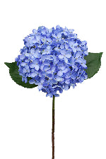 Annabelle Hydrangea Blue 63cm